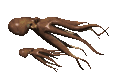 mustekala animoituja-kuvia-gif